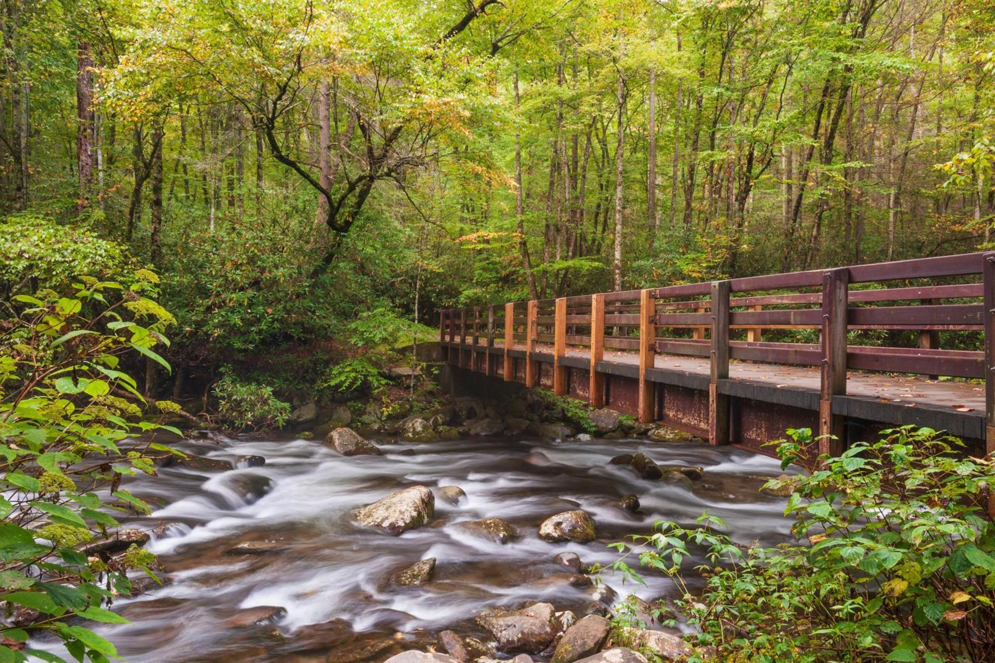 Laurel Cottage, 1089 Free Tickets Each Paid Day, Dollywood And More 세비어빌 외부 사진